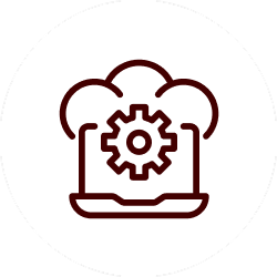 Full customization, deployment and maintenance support