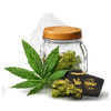 Marijuana Delivery